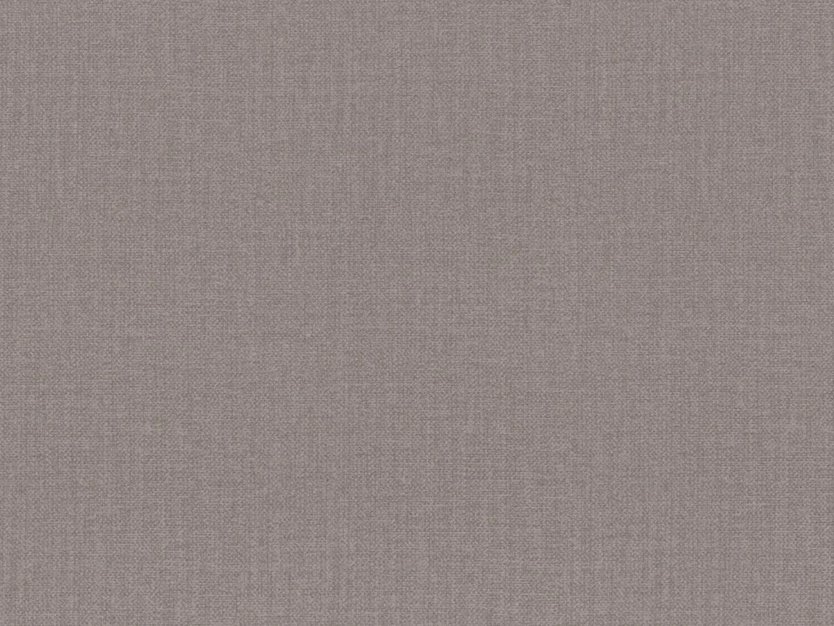 Ember — Light Beige
